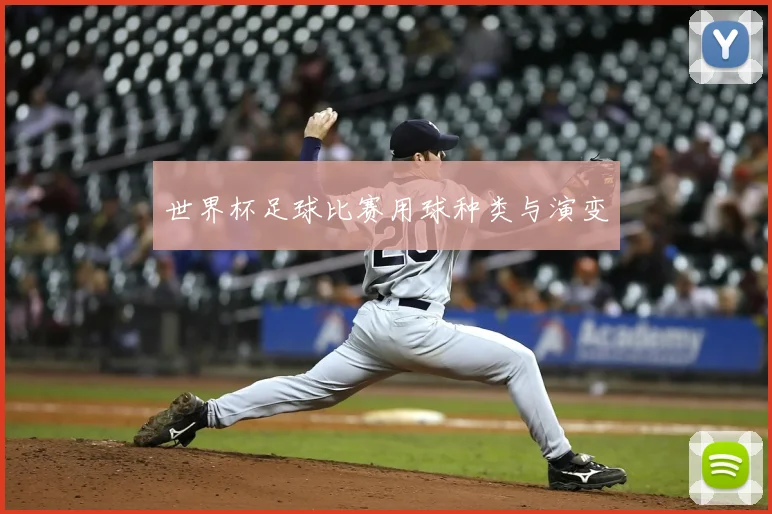 世界杯足球比赛用球种类与演变