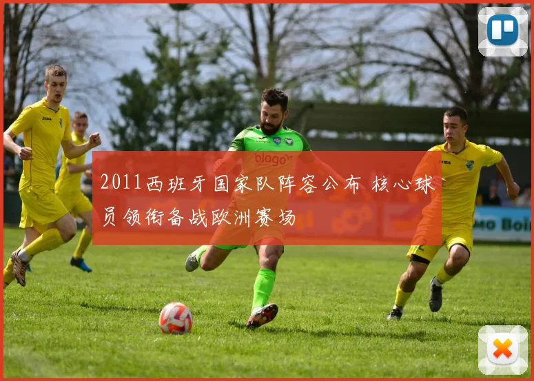 2011西班牙国家队阵容公布 核心球员领衔备战欧洲赛场