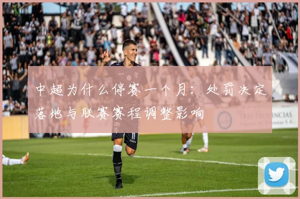 中超为什么停赛一个月：处罚决定落地与联赛赛程调整影响