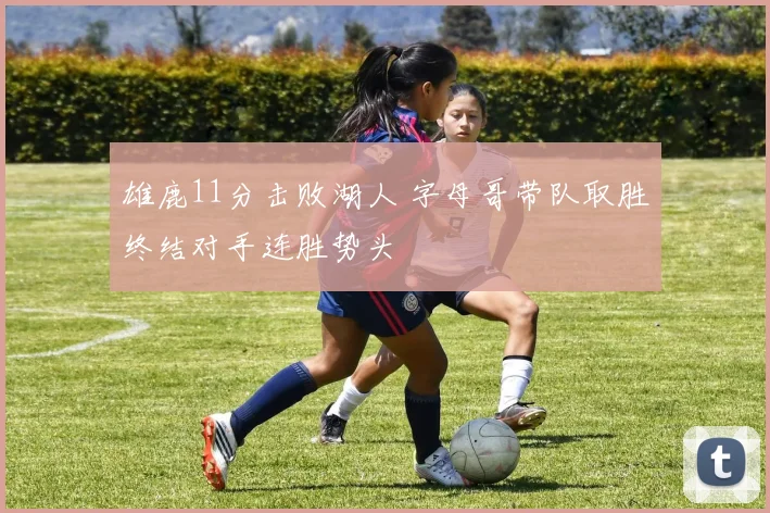 雄鹿11分击败湖人 字母哥带队取胜终结对手连胜势头